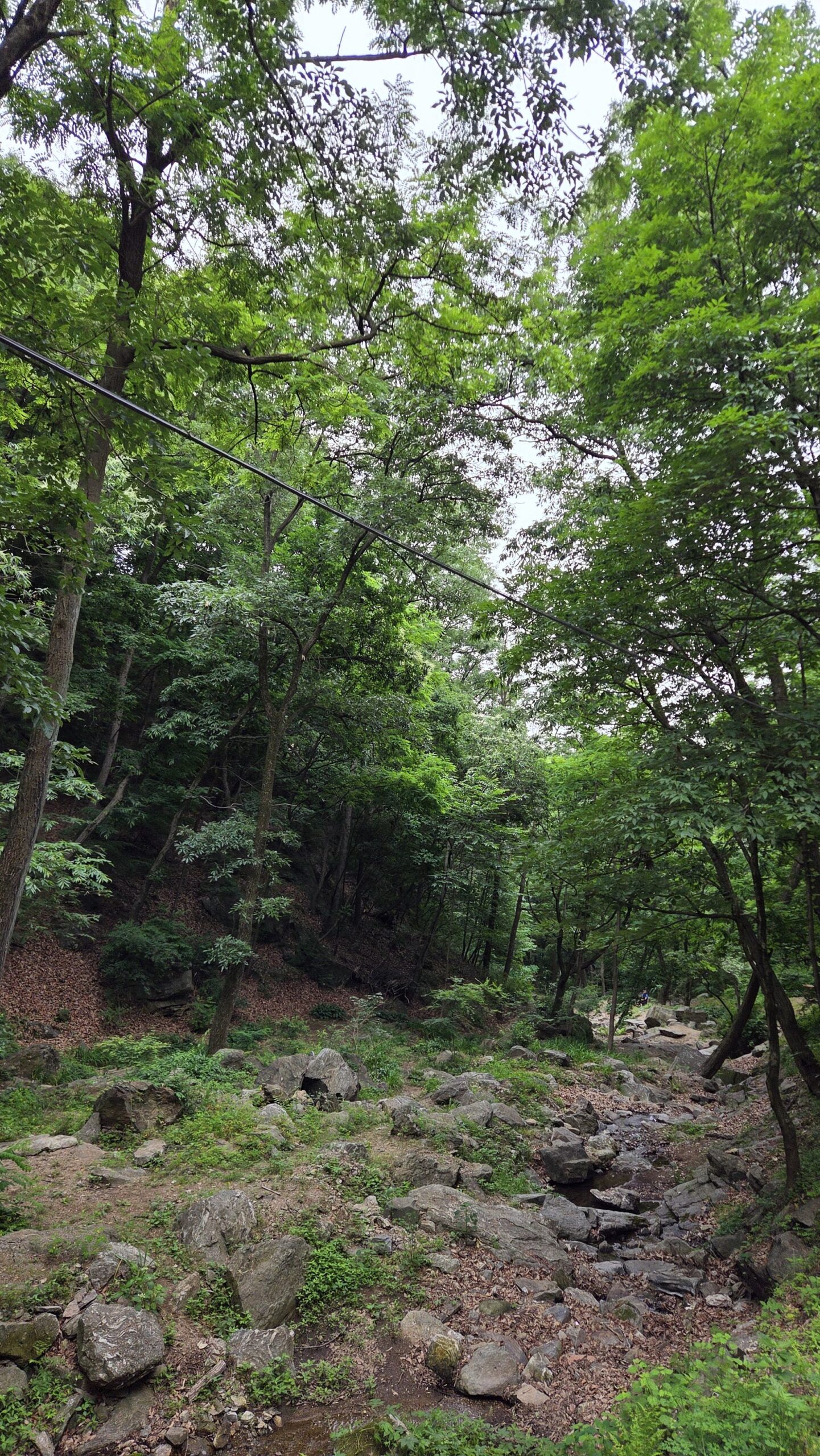 성남 방향 하산길에서 만난 초록 숲과 바위