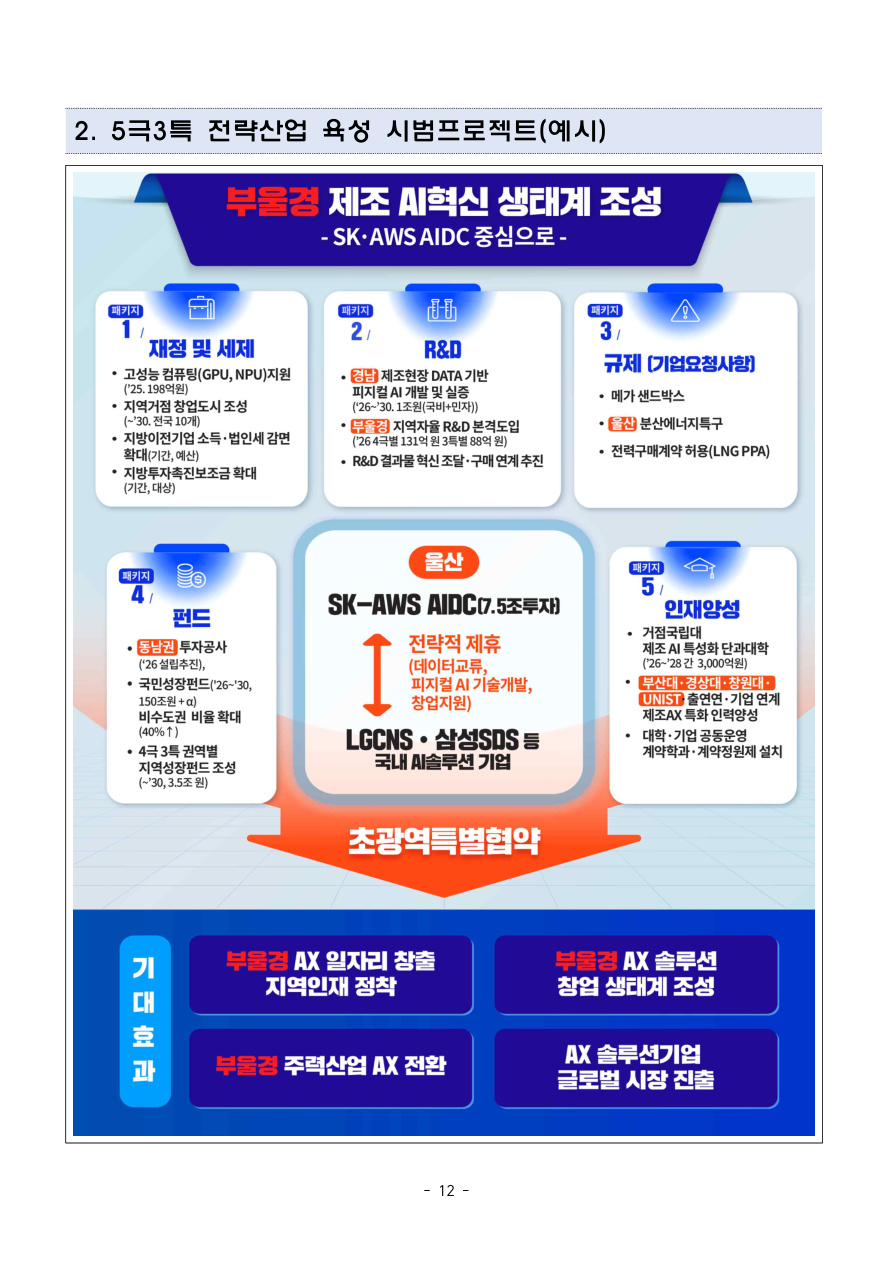 5극3특 전략산업 시범프로젝트 예시 공식 도표