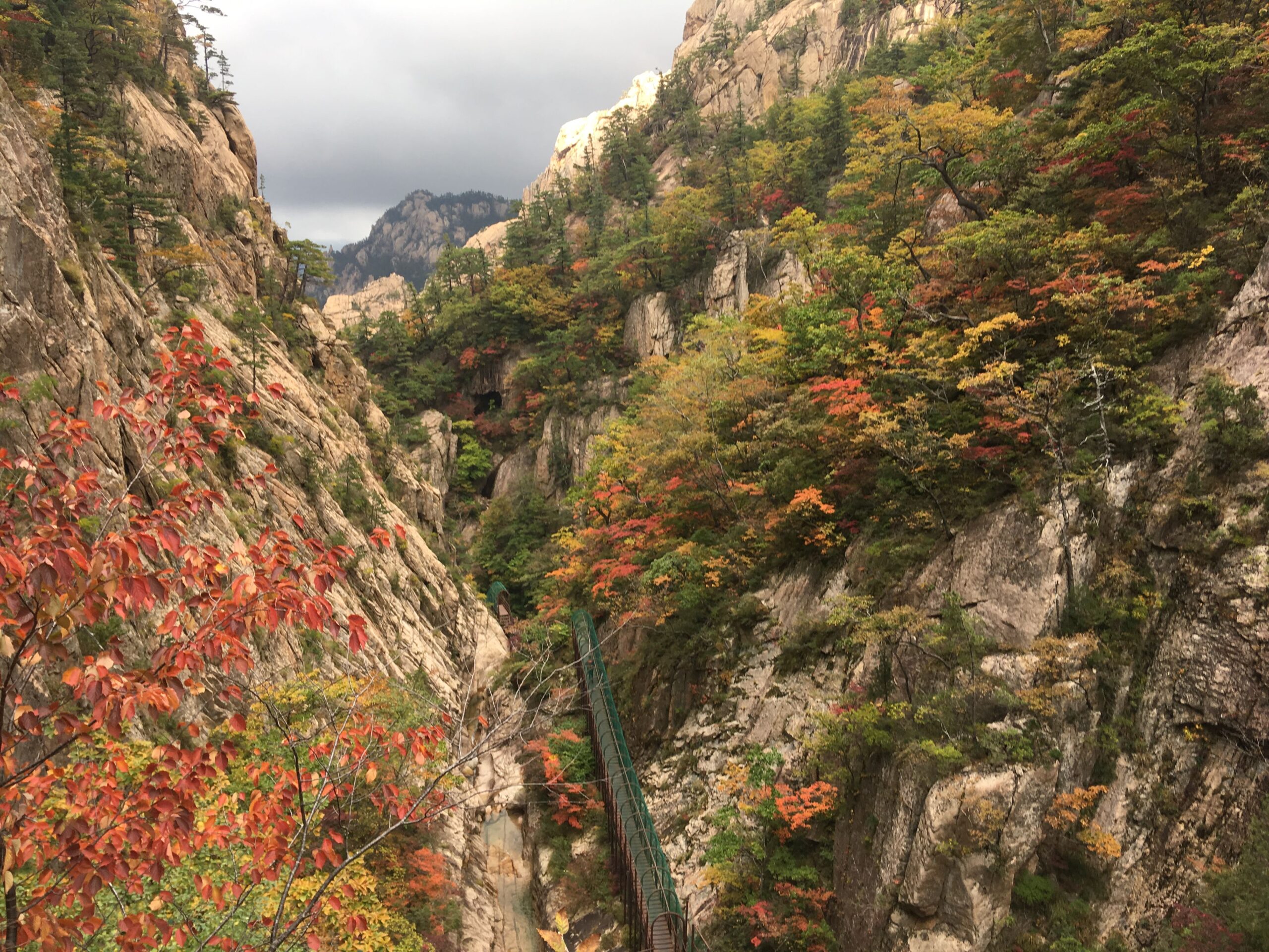 설악산 암벽 사이로 붉은색과 노란색 단풍이 물든 풍경, 2018년 자료사진